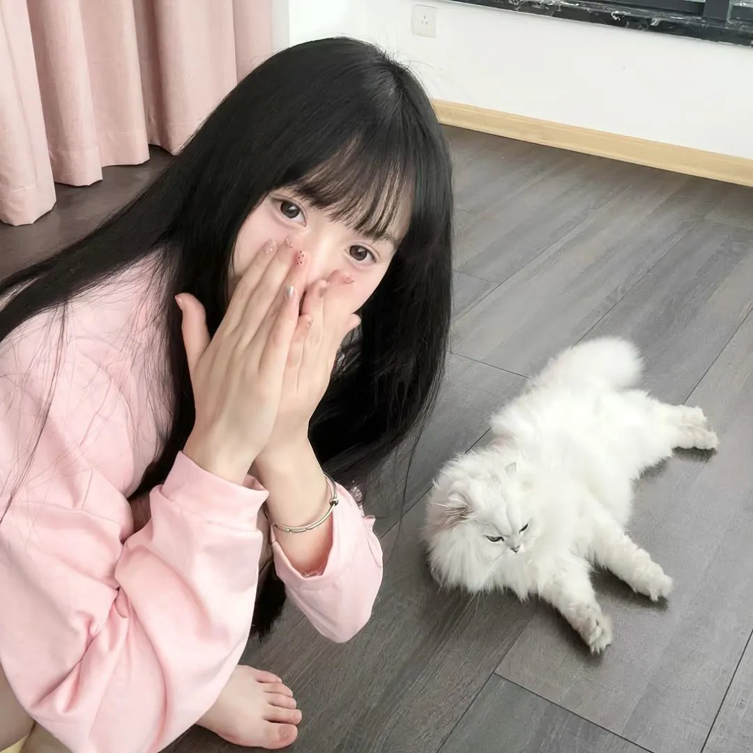传染歌